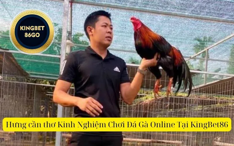 Hưng cần thơ Kinh Nghiệm Chơi Đá Gà Online Tại KingBet86