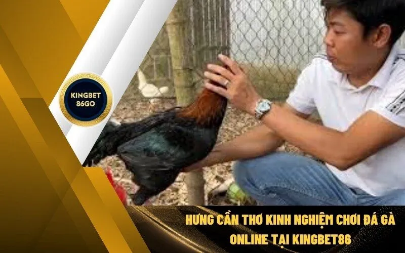 Kinh Nghiệm Chơi Đá Gà Online
